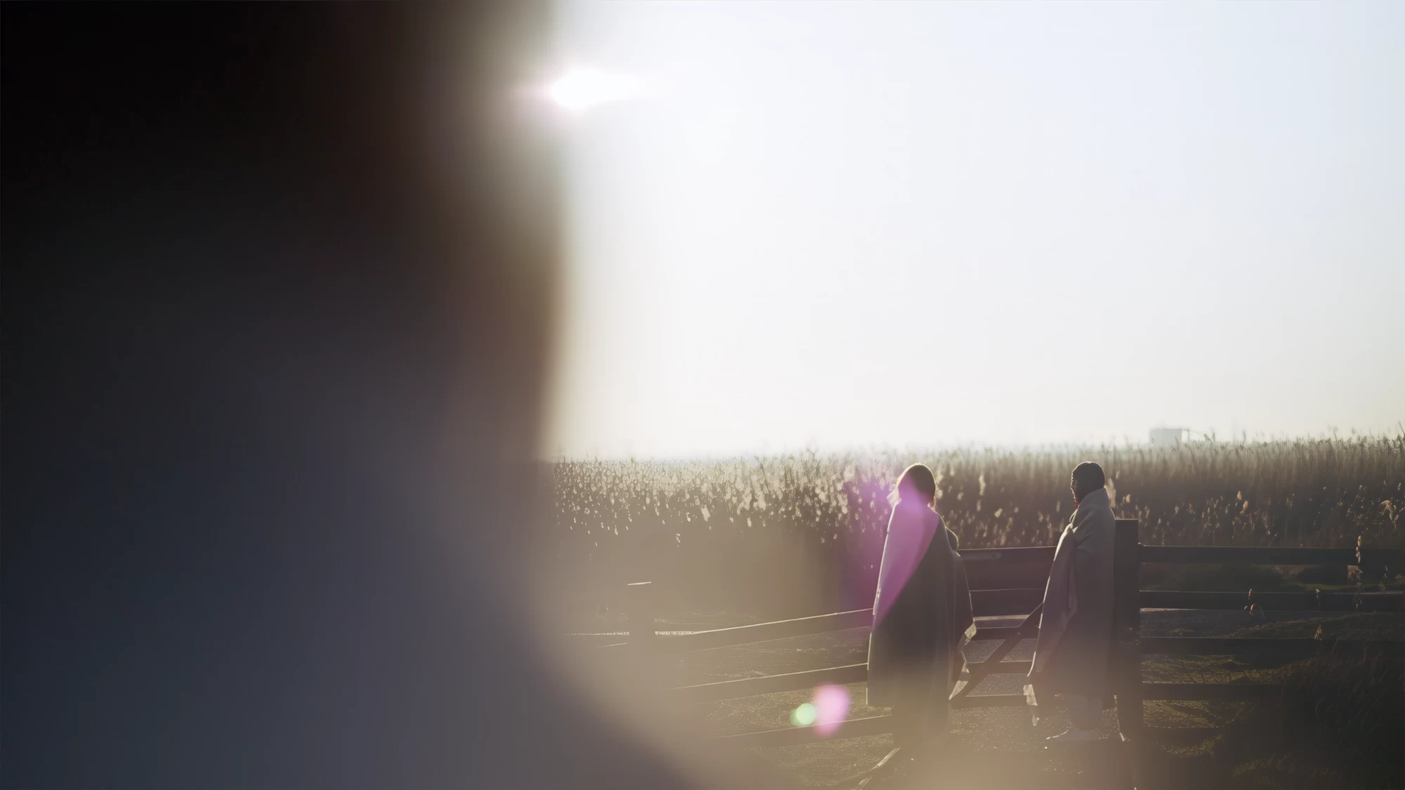 Visit Kent tourism photography — two figures wrapped in blankets walking through golden-hour reed beds